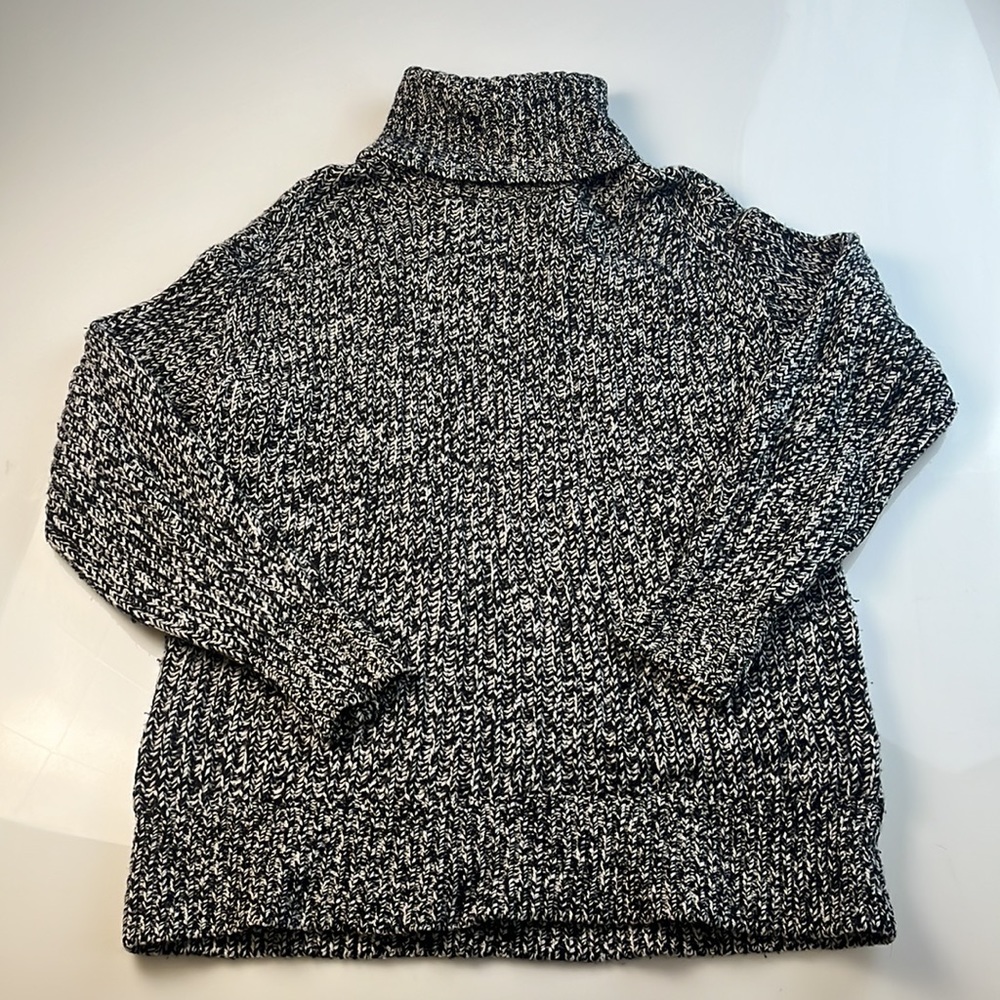 Everlane Wool Knit Turtleneck Sweater S60-10